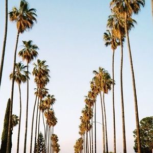 Meet your Posher, Donovan